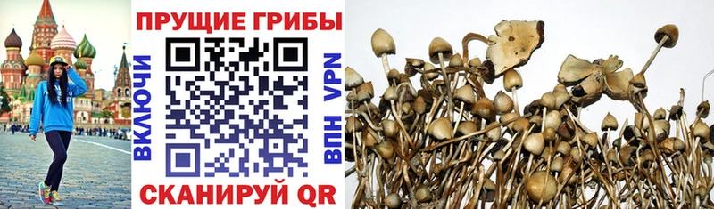 shop телеграм  Костомукша  Галлюциногенные грибы мухоморы 